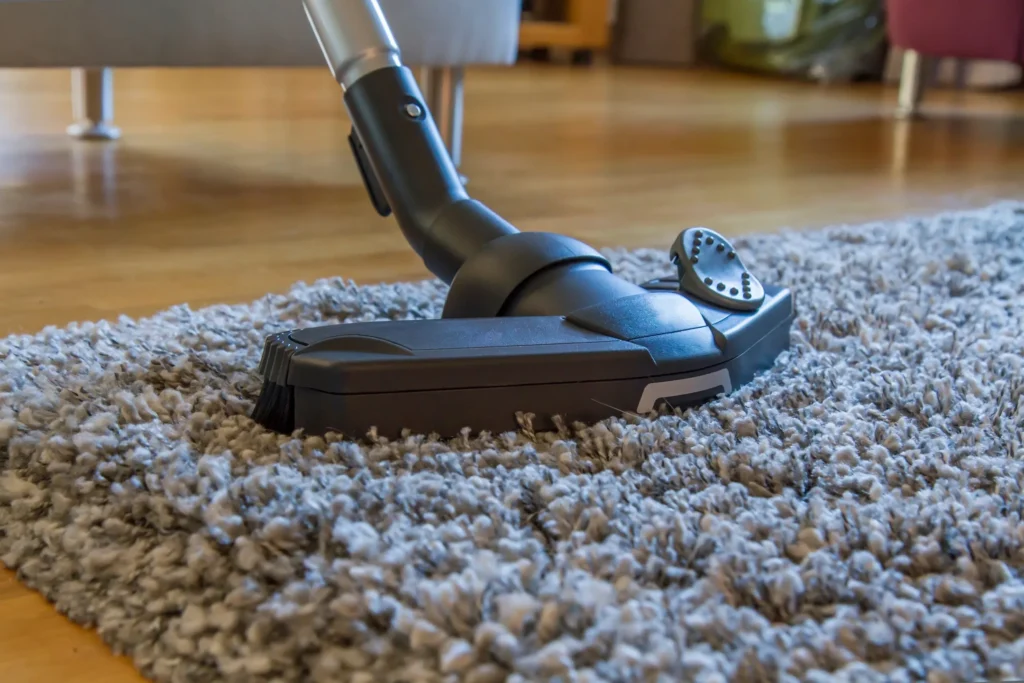 Best Carpet Cleaning Services in Delaware