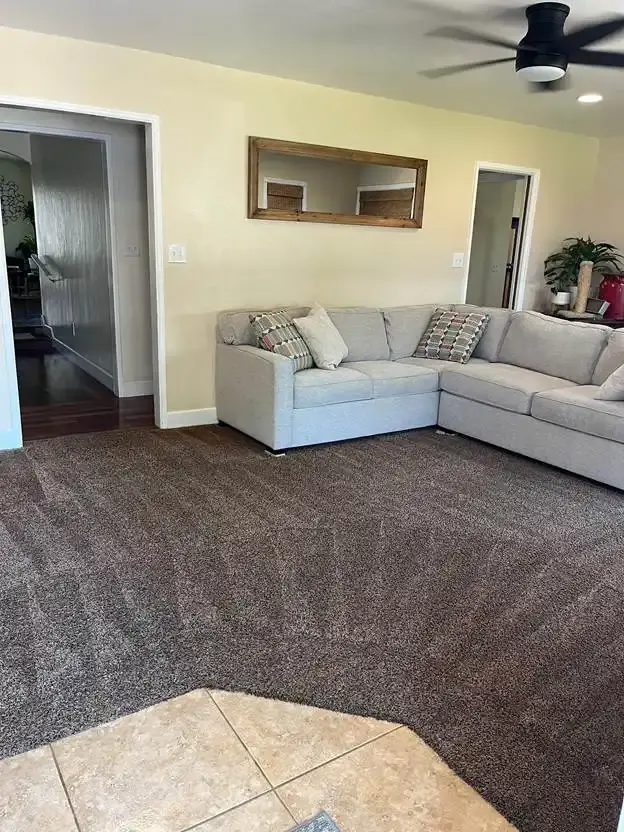 Family room carpet cleaned by J&J Steam Cleaning in Wilmington, DE