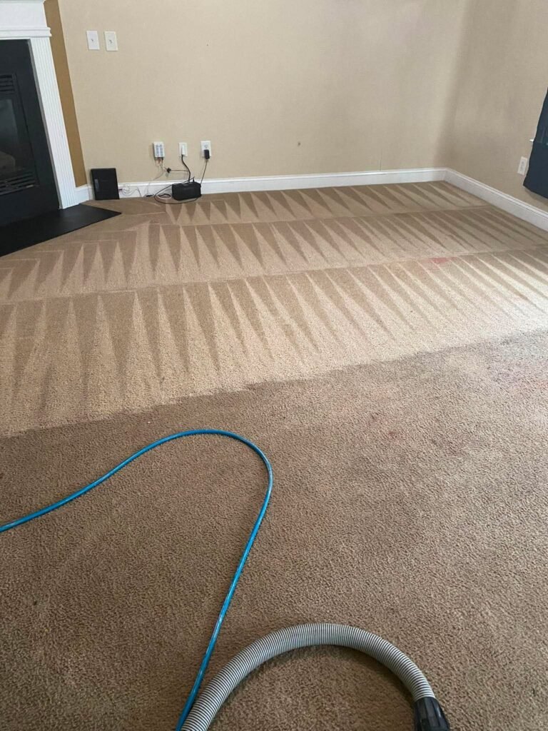 Before and after carpet steam cleaning in a New Castle, DE living room by J&J Steam Cleaning — 2 rooms + hallway special $119